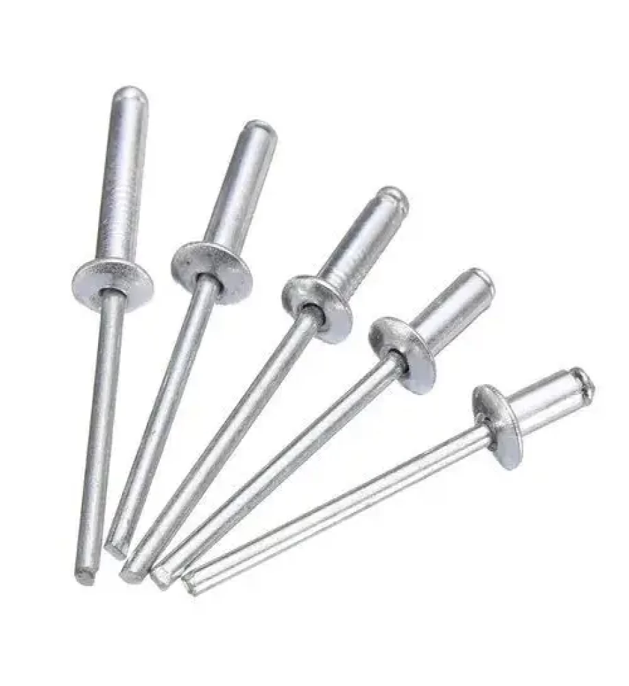 Steel Rivet Screw