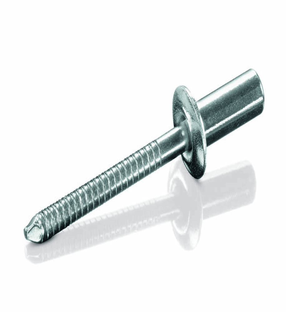 Steel Rivet Screw