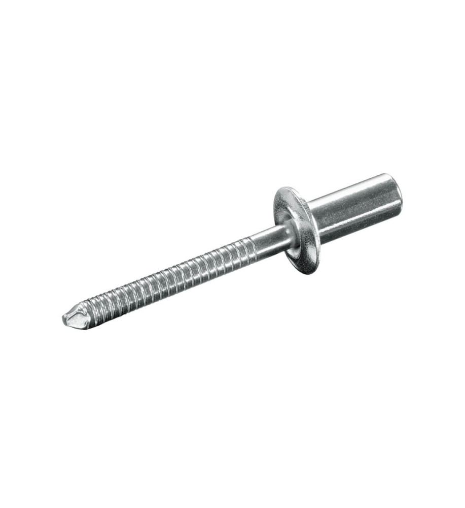 Steel Rivet Screw