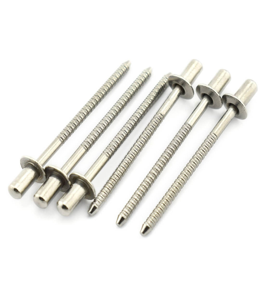 Steel Rivet Screw