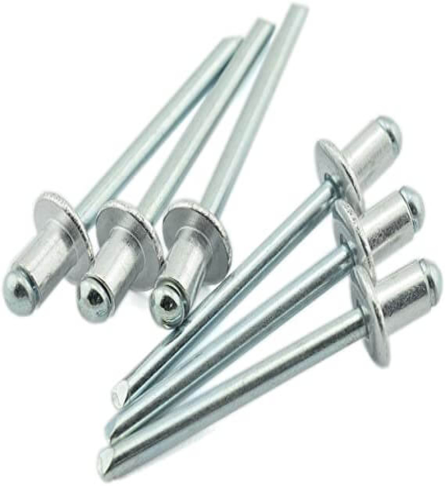 Steel Rivet Screw