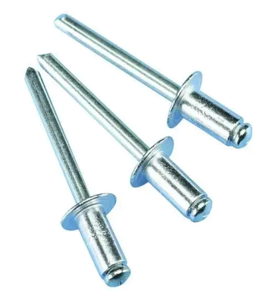 Steel Rivet Screw