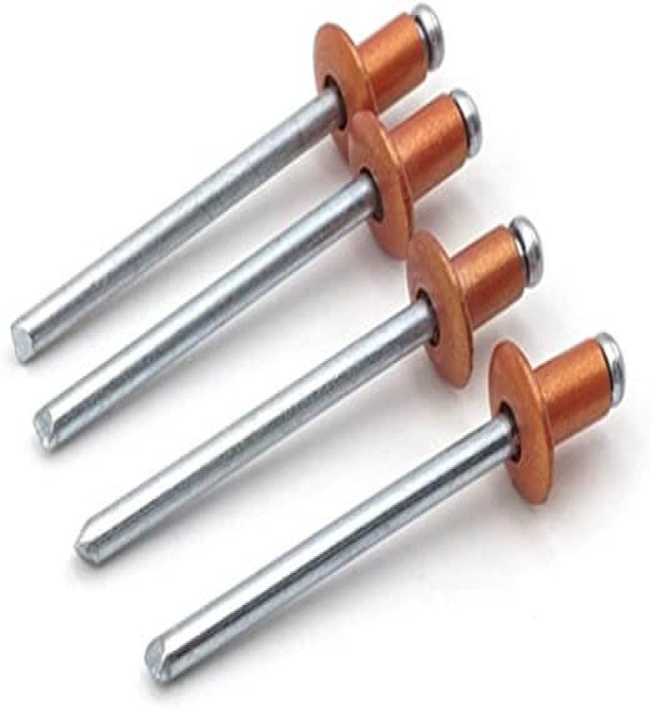 Steel Rivet Screw