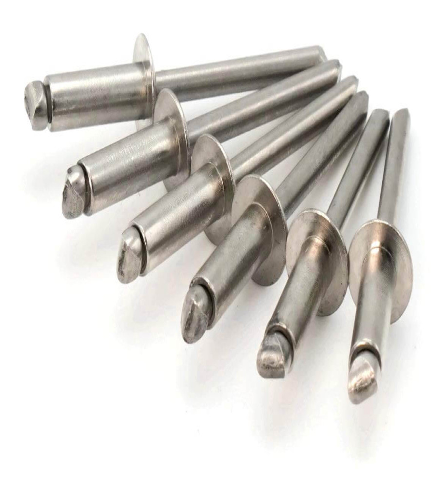 Steel Rivet Screw