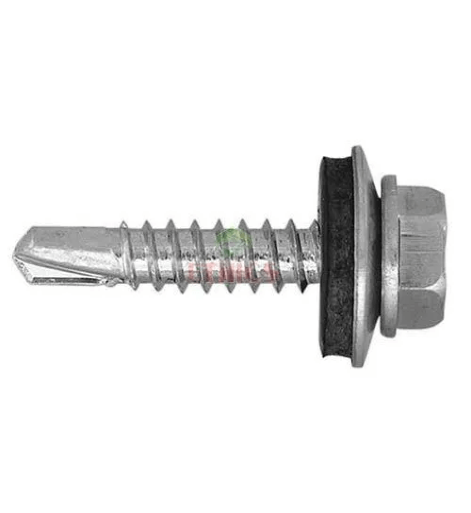 Wall Screw