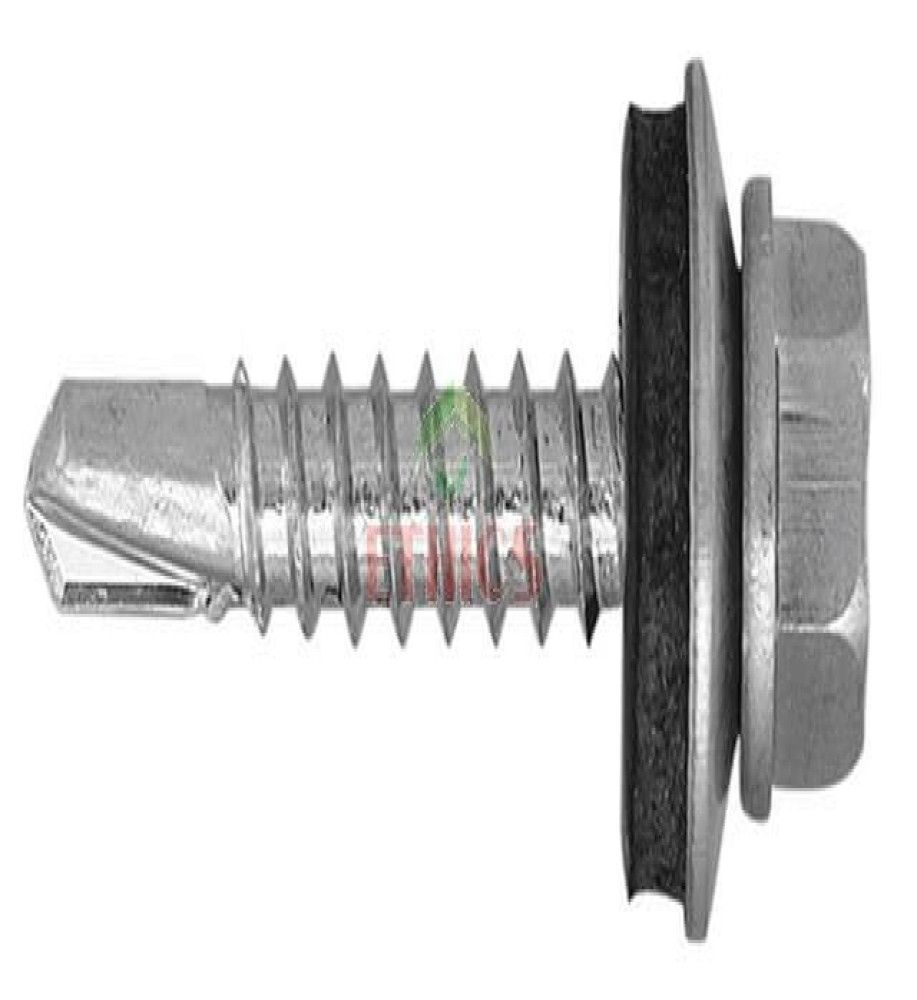 Wall Screw